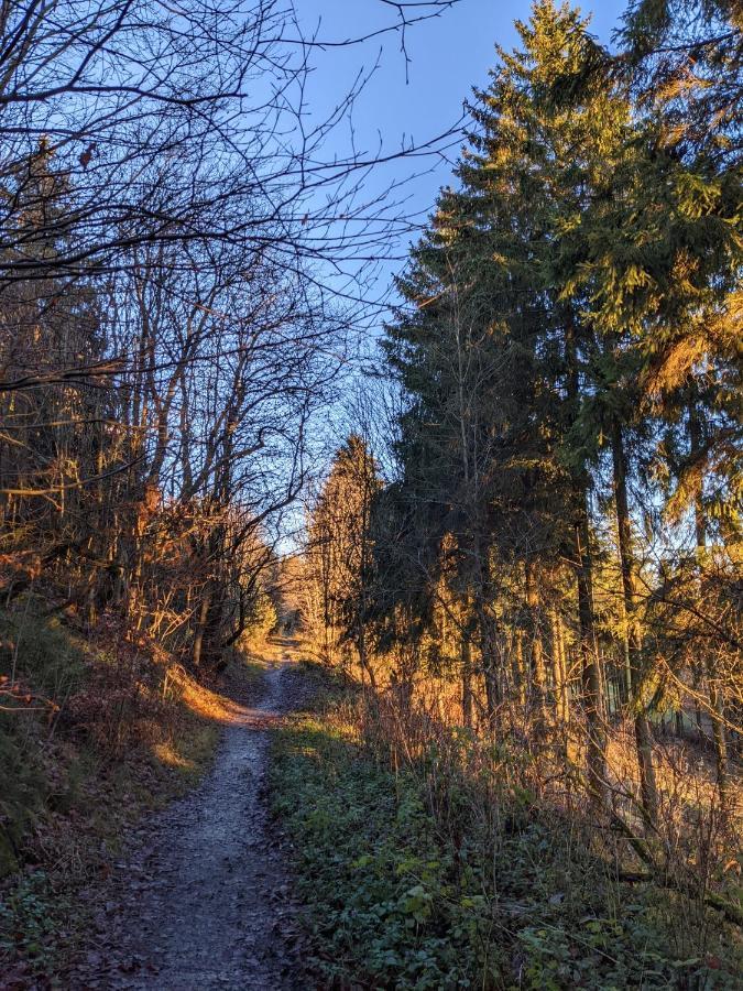 Zentrale Und Gemuetliche Ferienwohnung In Winterberg Nah An Der Natur ภายนอก รูปภาพ