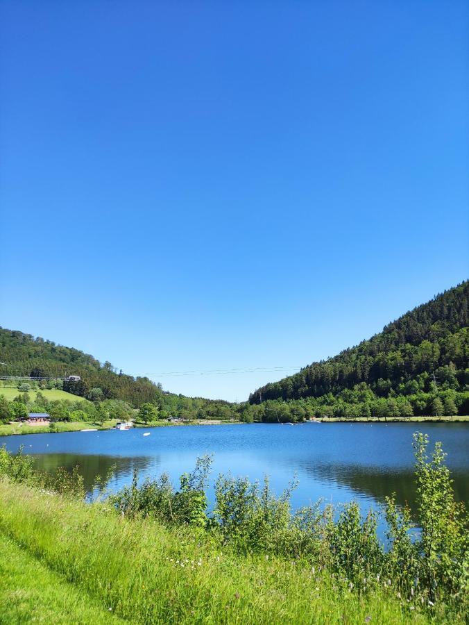 Zentrale Und Gemuetliche Ferienwohnung In Winterberg Nah An Der Natur ภายนอก รูปภาพ