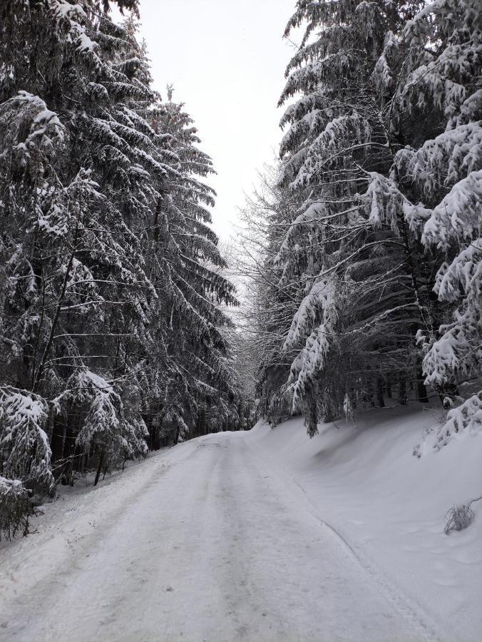 Zentrale Und Gemuetliche Ferienwohnung In Winterberg Nah An Der Natur ภายนอก รูปภาพ