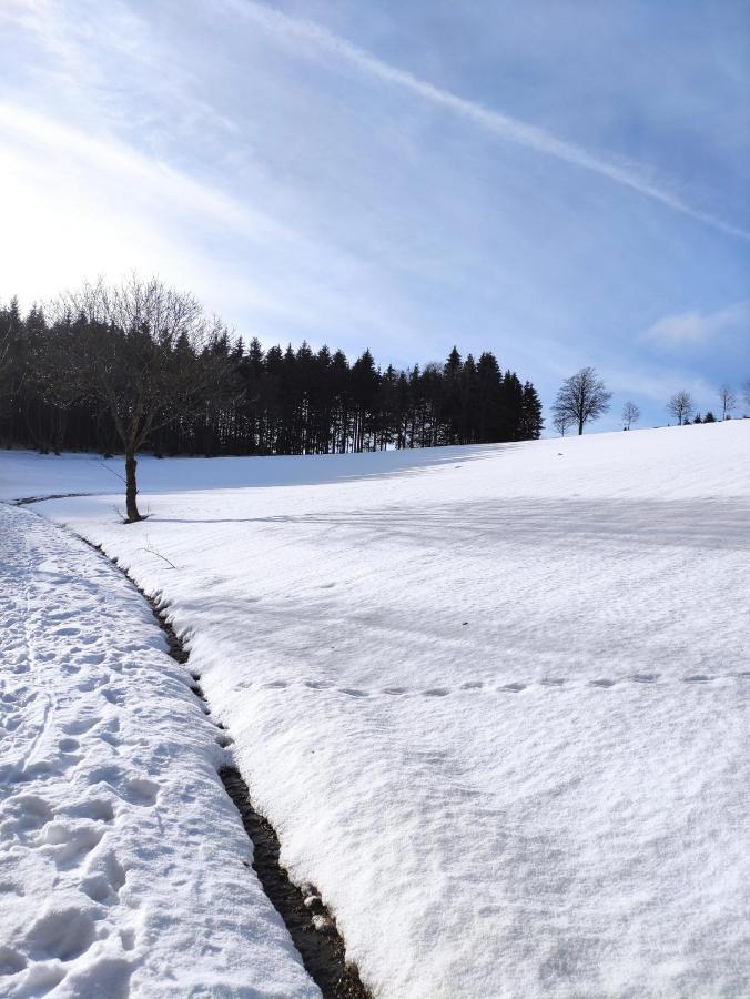 Zentrale Und Gemuetliche Ferienwohnung In Winterberg Nah An Der Natur ภายนอก รูปภาพ