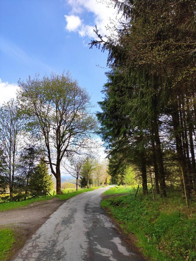 Zentrale Und Gemuetliche Ferienwohnung In Winterberg Nah An Der Natur ภายนอก รูปภาพ